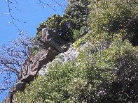 qua Rocca20100328 029